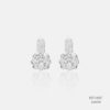 Silver Earrings 555578
